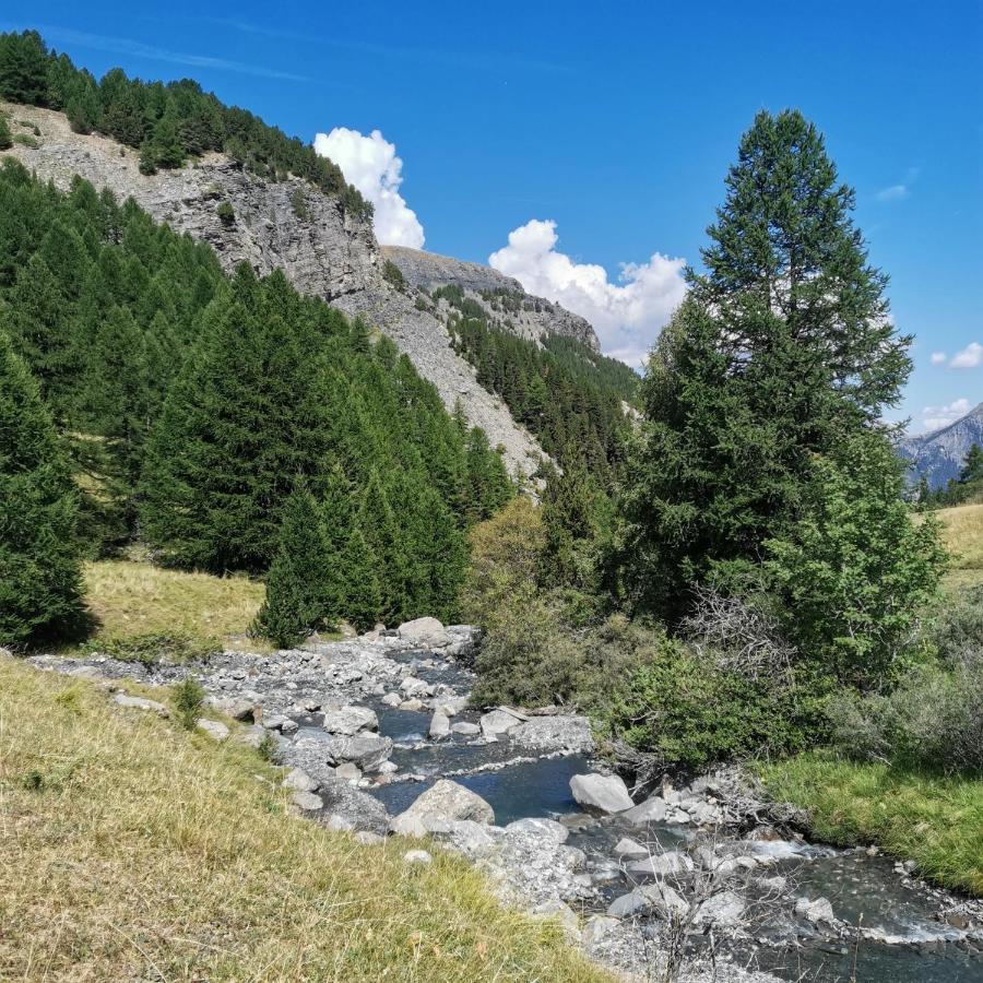 Appartement Pied Des Pistes Super Sauze Enchastrayes 外观 照片