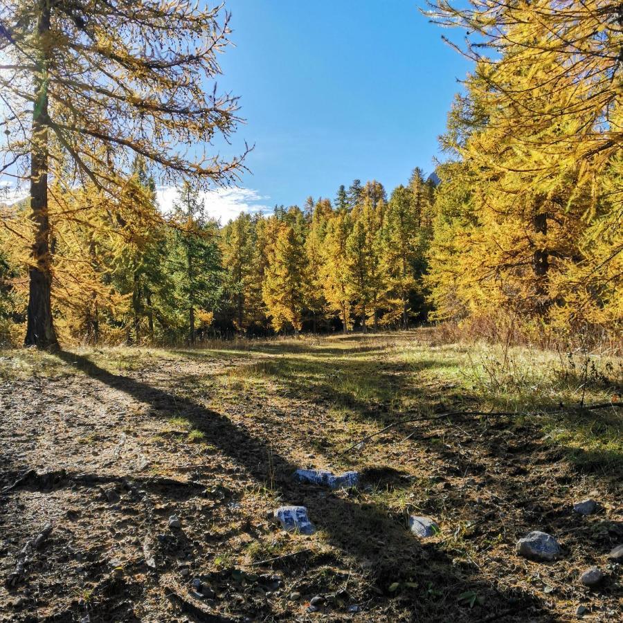 Appartement Pied Des Pistes Super Sauze Enchastrayes 外观 照片