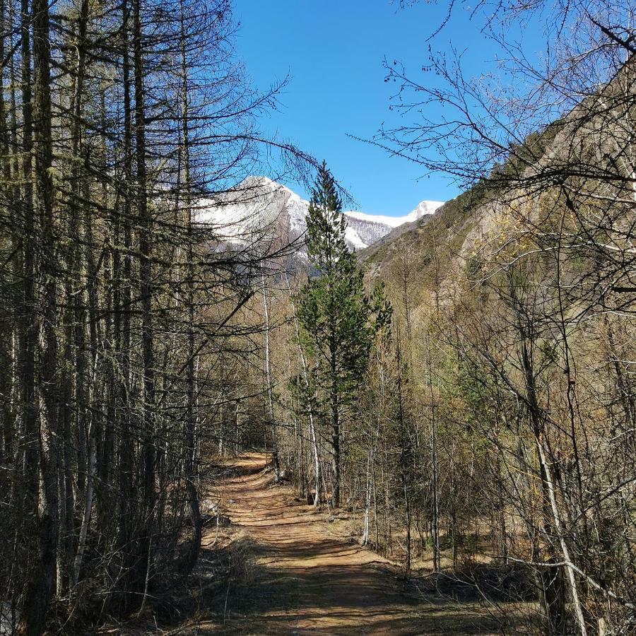 Appartement Pied Des Pistes Super Sauze Enchastrayes 外观 照片
