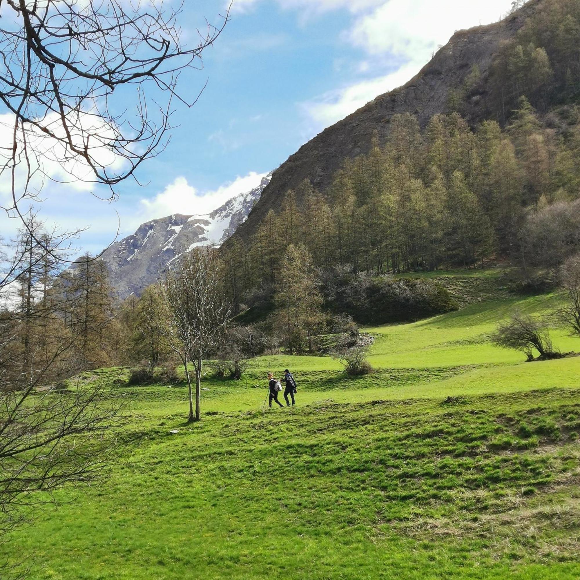 Appartement Pied Des Pistes Super Sauze Enchastrayes 外观 照片